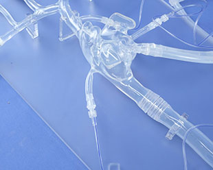 silicone-vascular--model.jpg