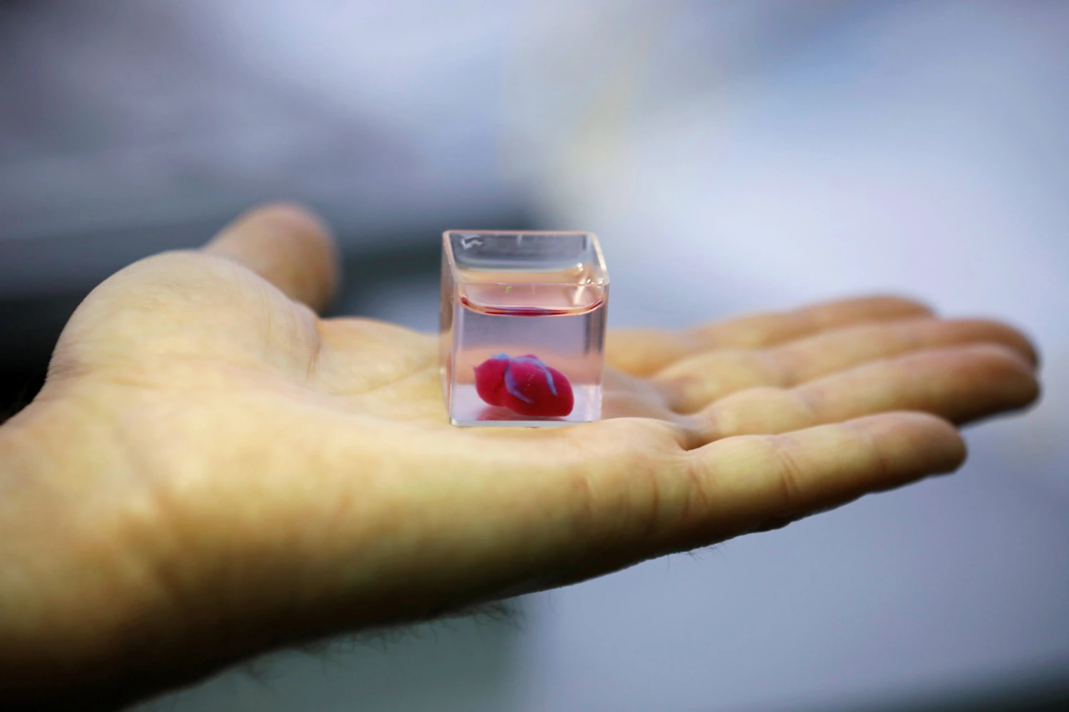 3d-printed-heart.webp 3d-printed-heart.webp
