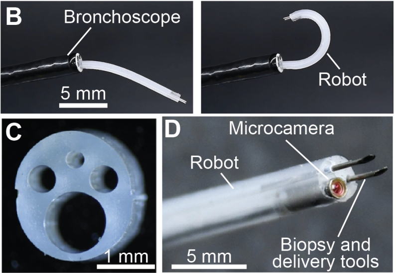 Auris_Health_Soft_Robotics.jpg Auris_Health_Soft_Robotics.jpg