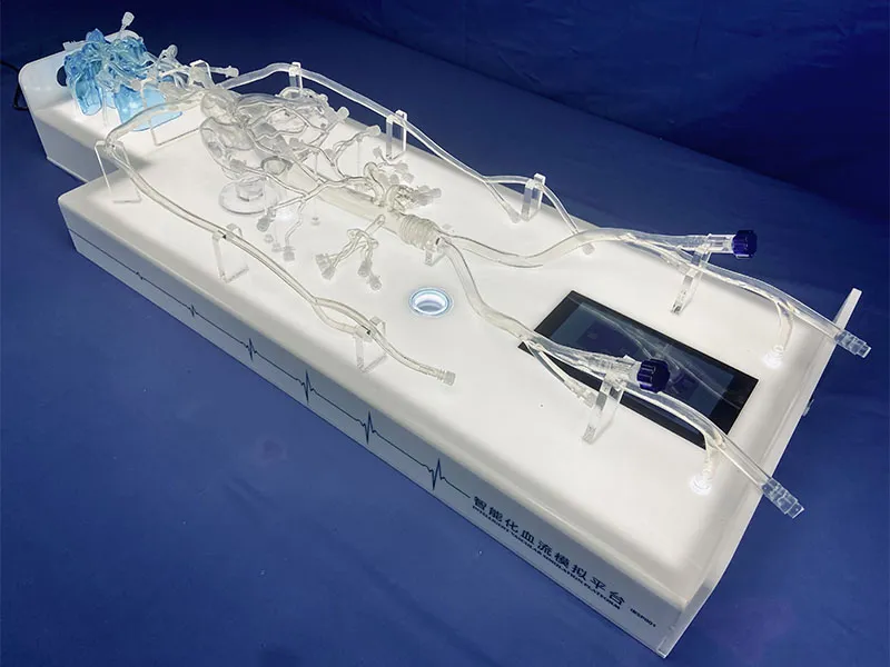 health care and medicaltraining model