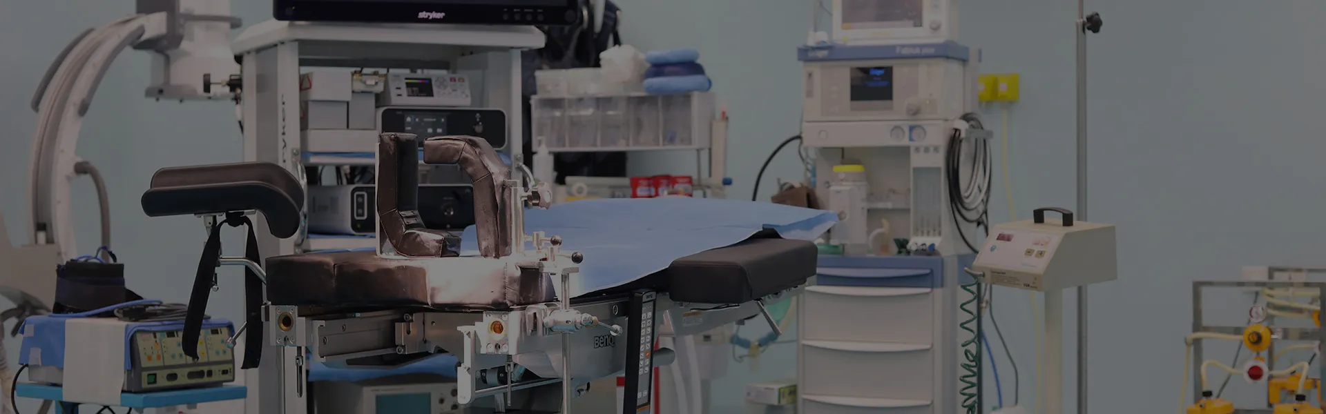 Softmimics LLC 3D Printer Applications for Health & Life
