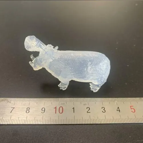 Printed Sample